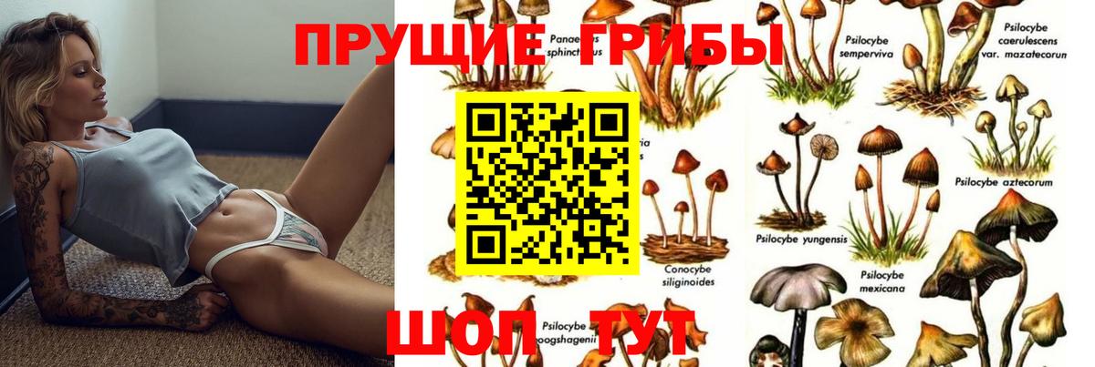 купить наркоту  Псилоцибиновые грибы ЛСД  Вход с VPN  Азнакаево 
