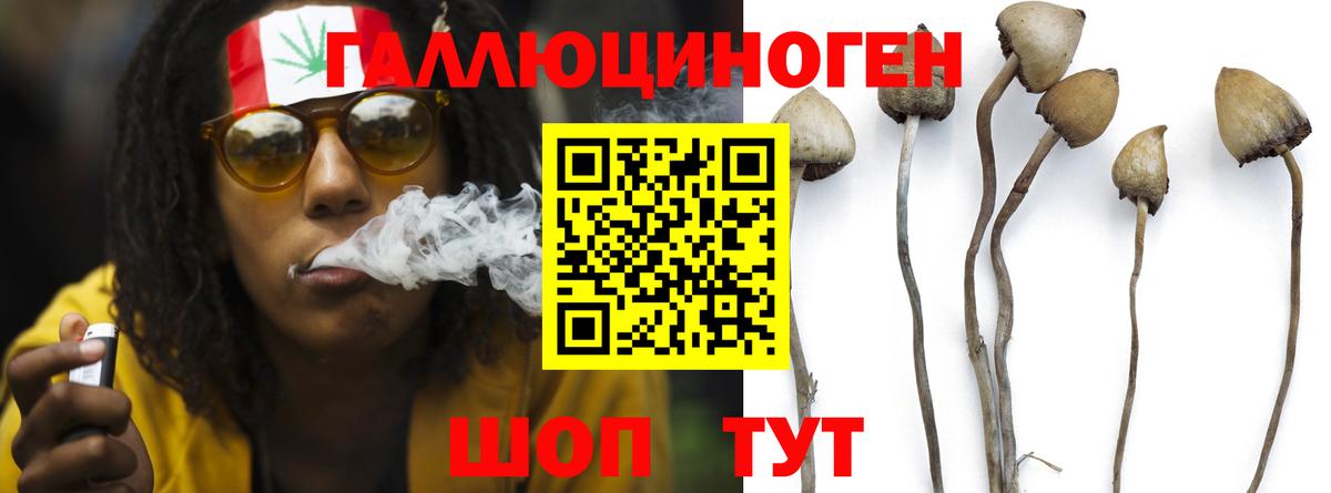 Псилоцибиновые грибы MAGIC MUSHROOMS Азнакаево